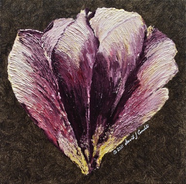 Tulip Petals 4
8" x 8"
oil on canvas
©2011
SOLD